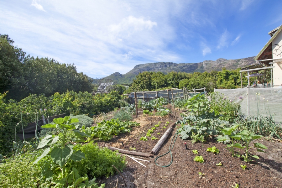 4 Bedroom Property for Sale in Meadowsteads Western Cape